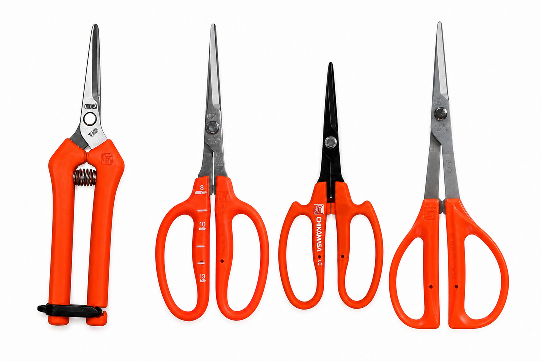 Chikamasa Scissors